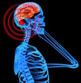 Cell phone radiation mobiltelefoner strålning 537089-3076-40