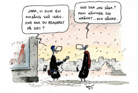 Kränkt - Berglins-2012-12-29_997508a_1