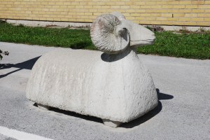 Anders_Årfelt_Bagge_01 Betongsugga Gutefår