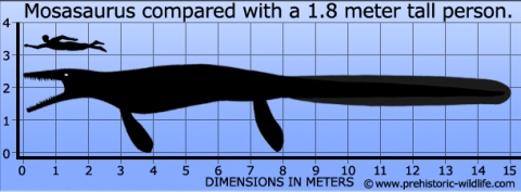 mosasaurus storlek size